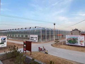 日光溫室建設(shè)需要考慮那些因素