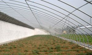 日光溫室建設(shè)有什么樣的問(wèn)題和處理方法